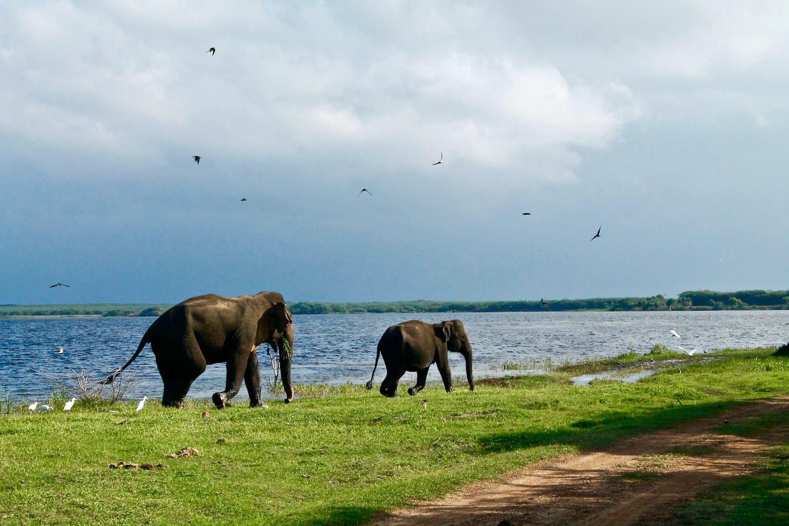 Sri Lanka Experience – 12 ημέρες - 1