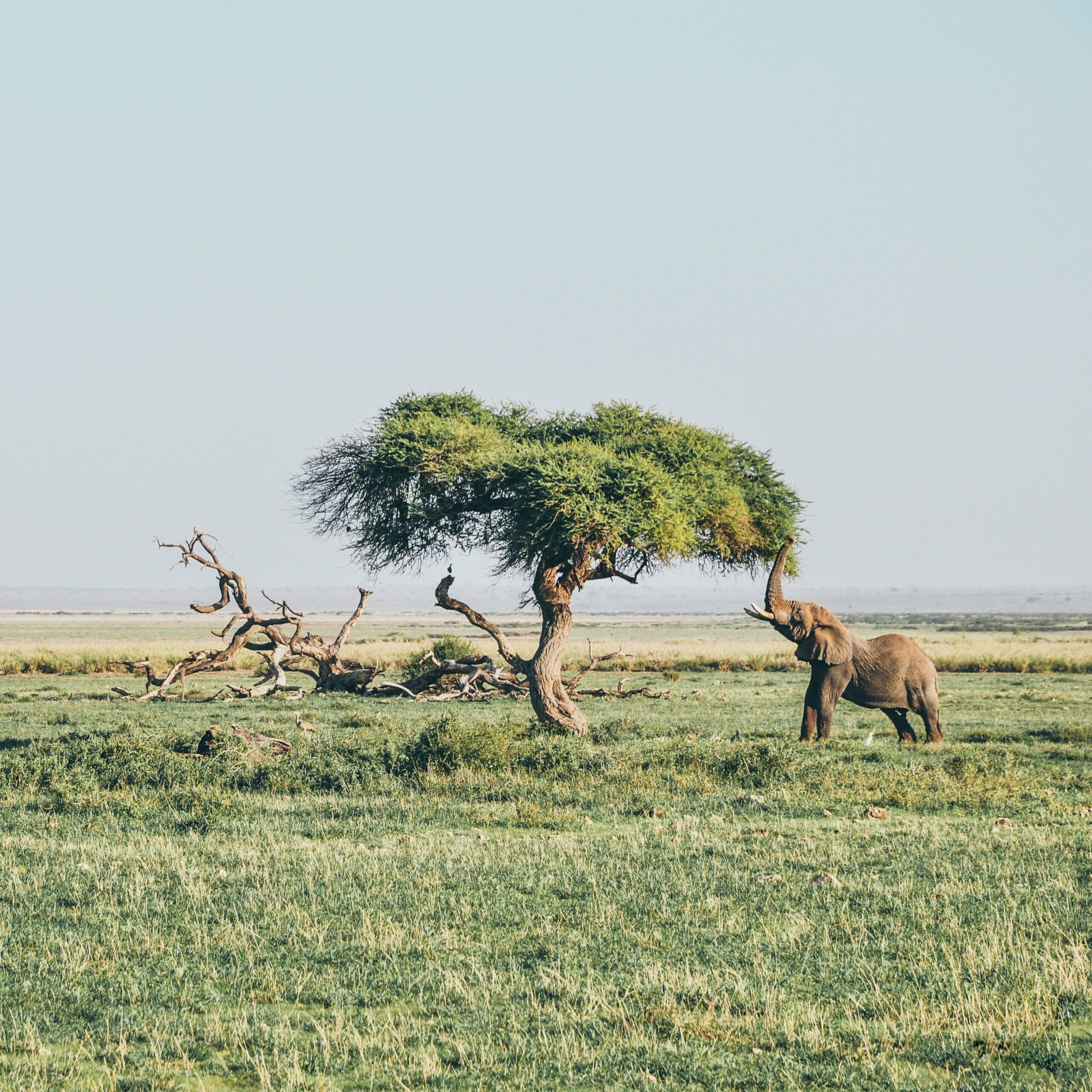 Κένυα: Best of Kenya – Αναχωρήσεις 23 & 29 Δεκεμβρίου - 1
